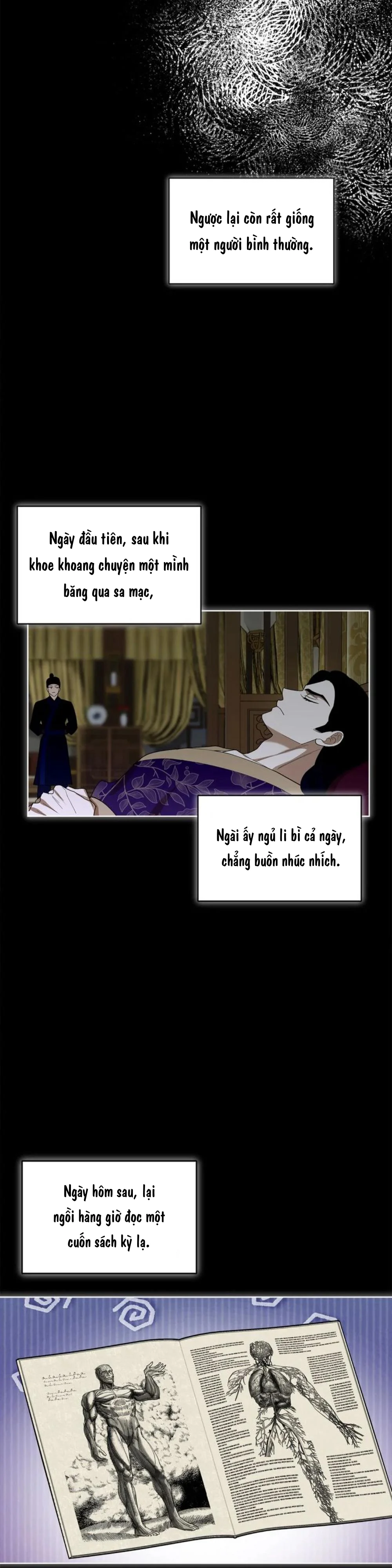 Đọc truyện Dấu Ấn Ngàn Năm - Chapter 7