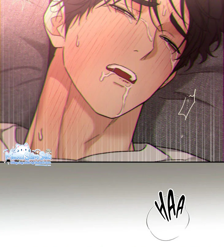 Đọc truyện Revenge - Chapter 14