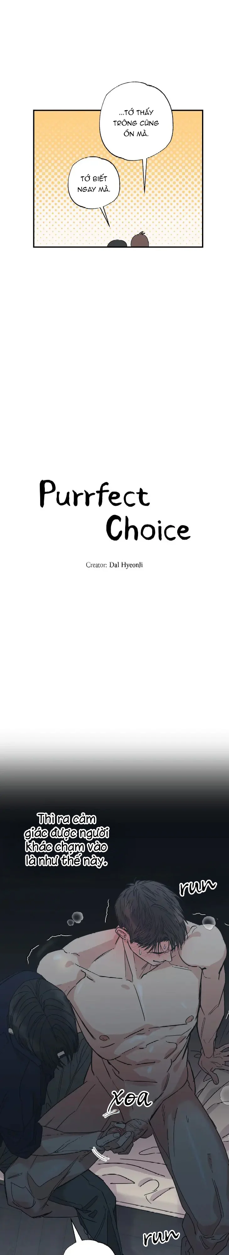 Đọc truyện Purrfect Choice - Chapter 8