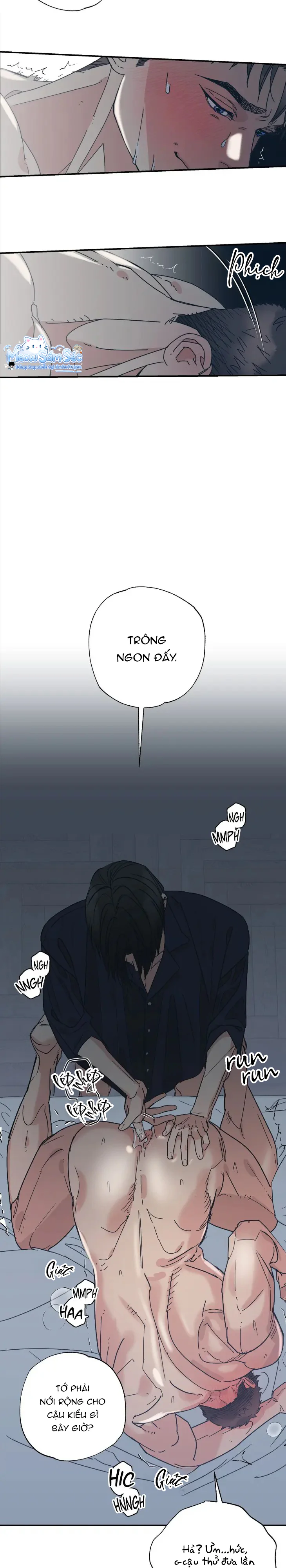 Đọc truyện Purrfect Choice - Chapter 8