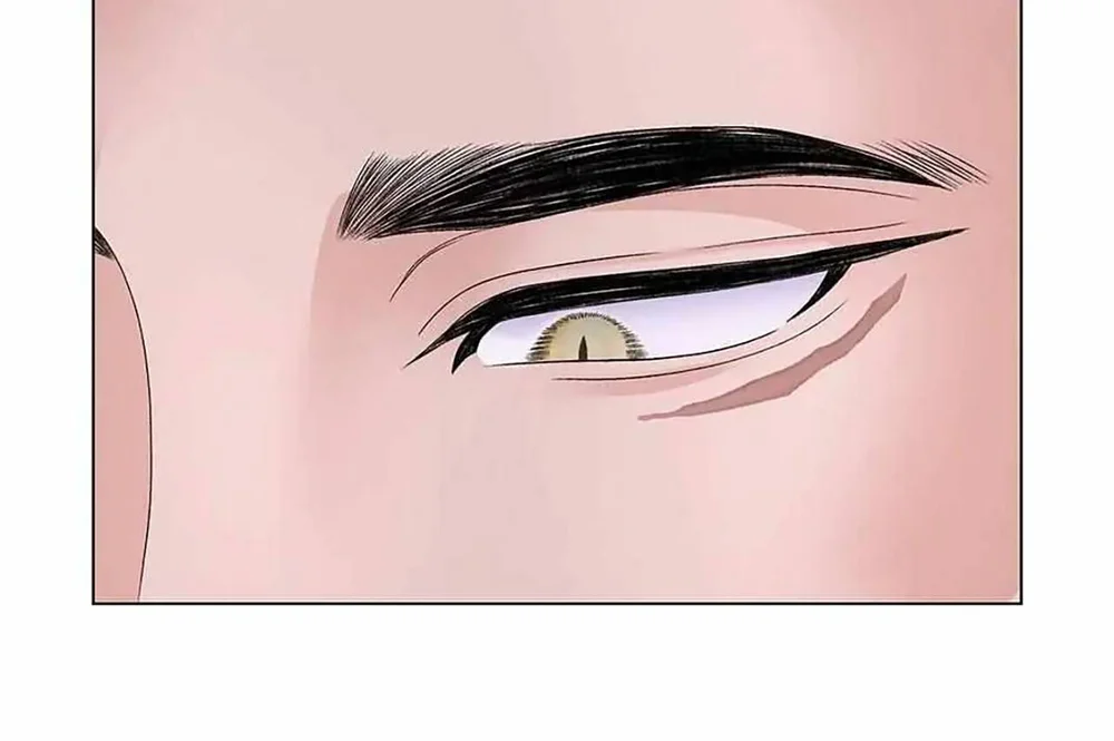 Đọc truyện Cội Nguồn Mãnh Hổ - Chapter 22