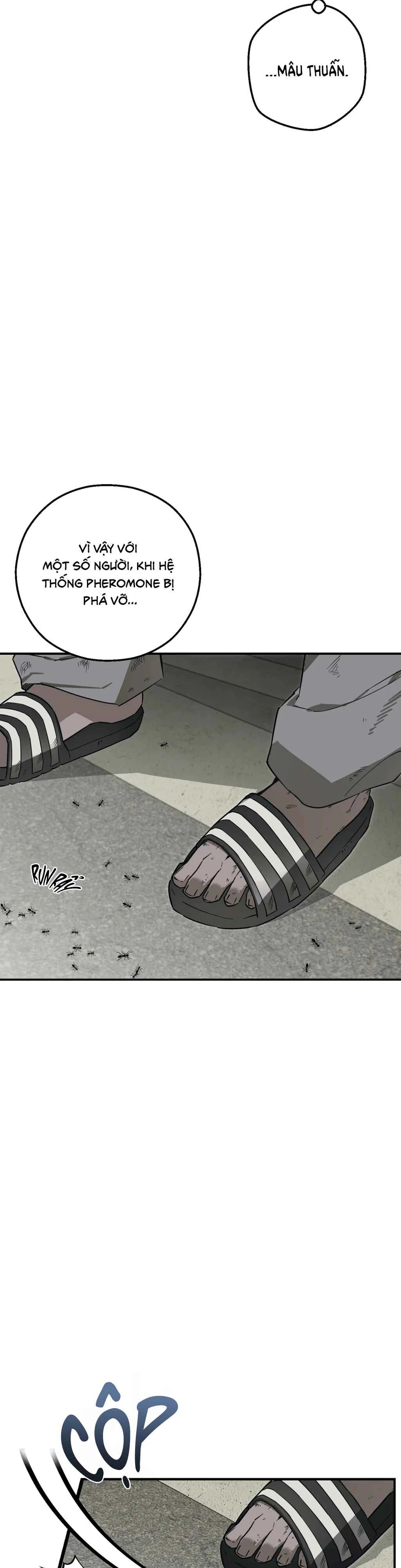 Đọc truyện LỖI LẦM HOÀN HẢO - Chapter 3