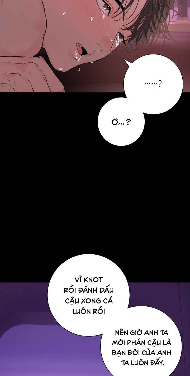 Đọc truyện CẢNH BÁO HÌNH XĂM - Chapter 4