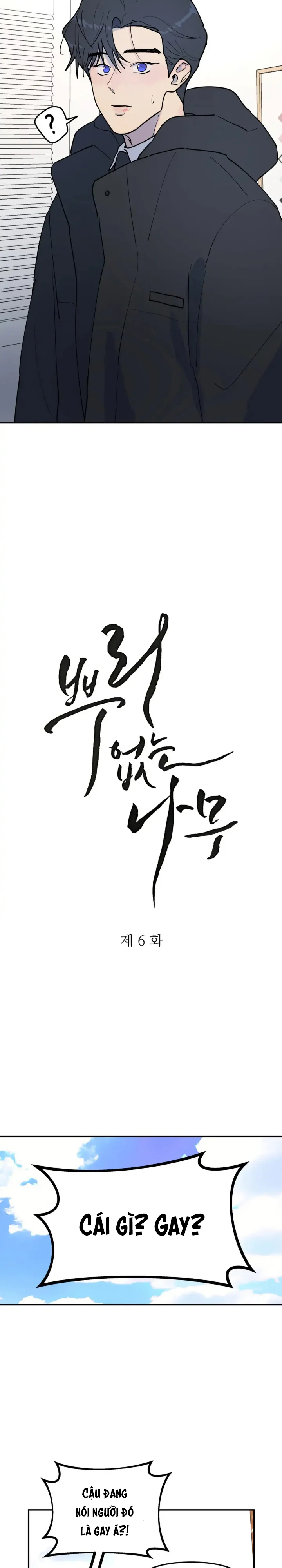 Đọc truyện Cây Không Rễ - Chapter 6