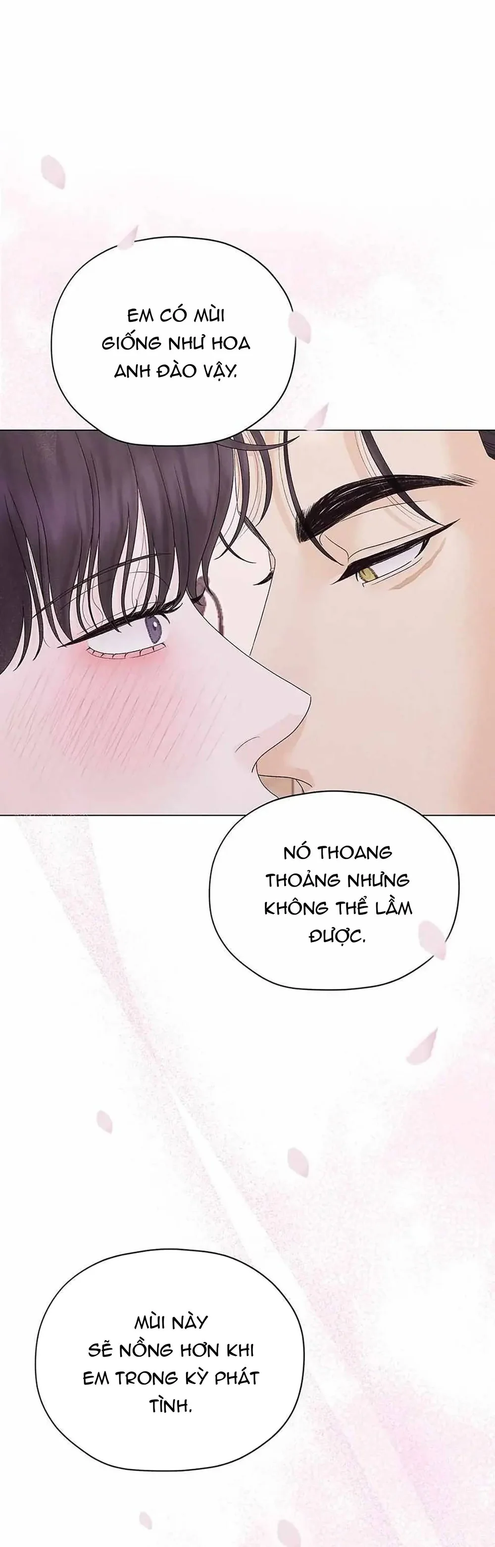 Đọc truyện Cội Nguồn Mãnh Hổ - Chapter 23