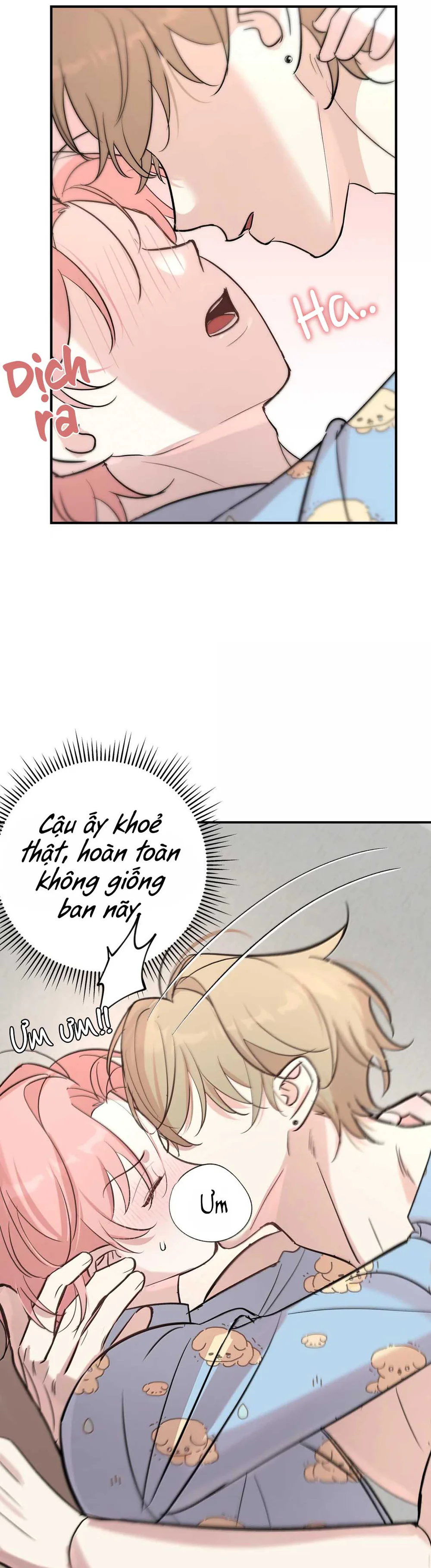 Đọc truyện Hổ và Tường Vi - Chapter 19