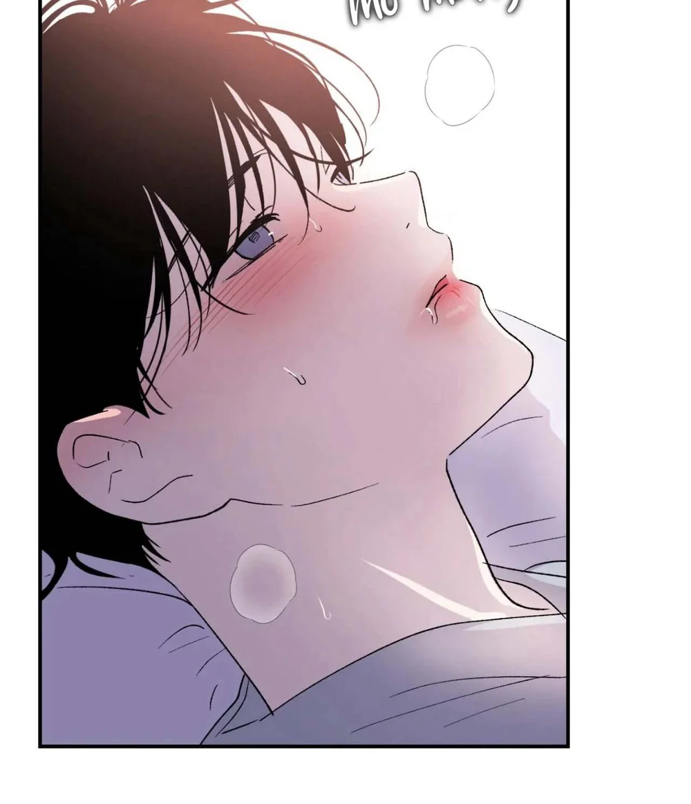 Đọc truyện Cạm bẫy dục vọng - Chapter 6