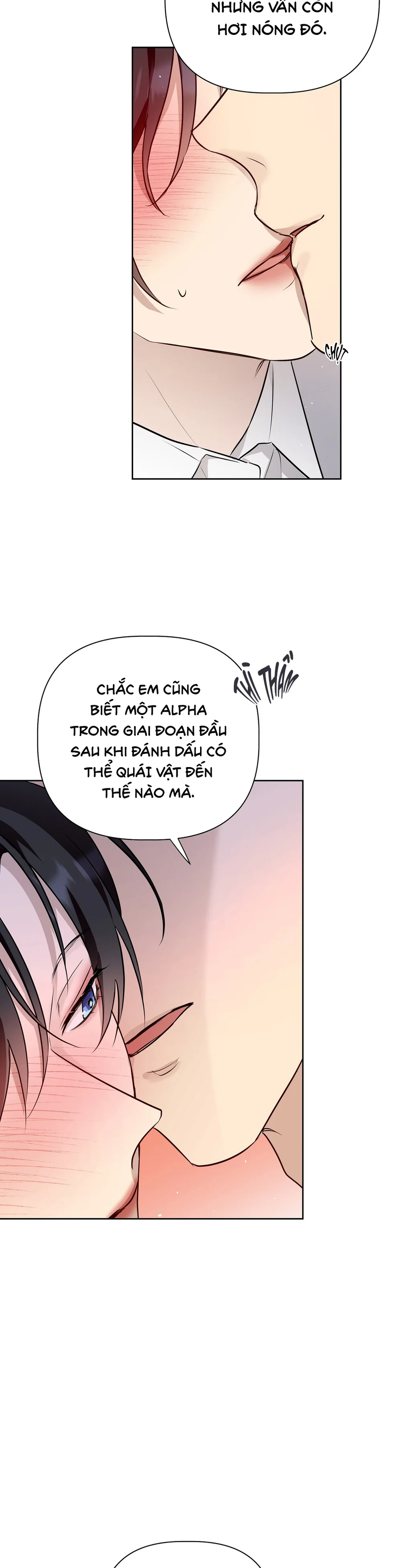 Đọc truyện OMEGA HOÀN HẢO CỦA TÔI - Chapter 65