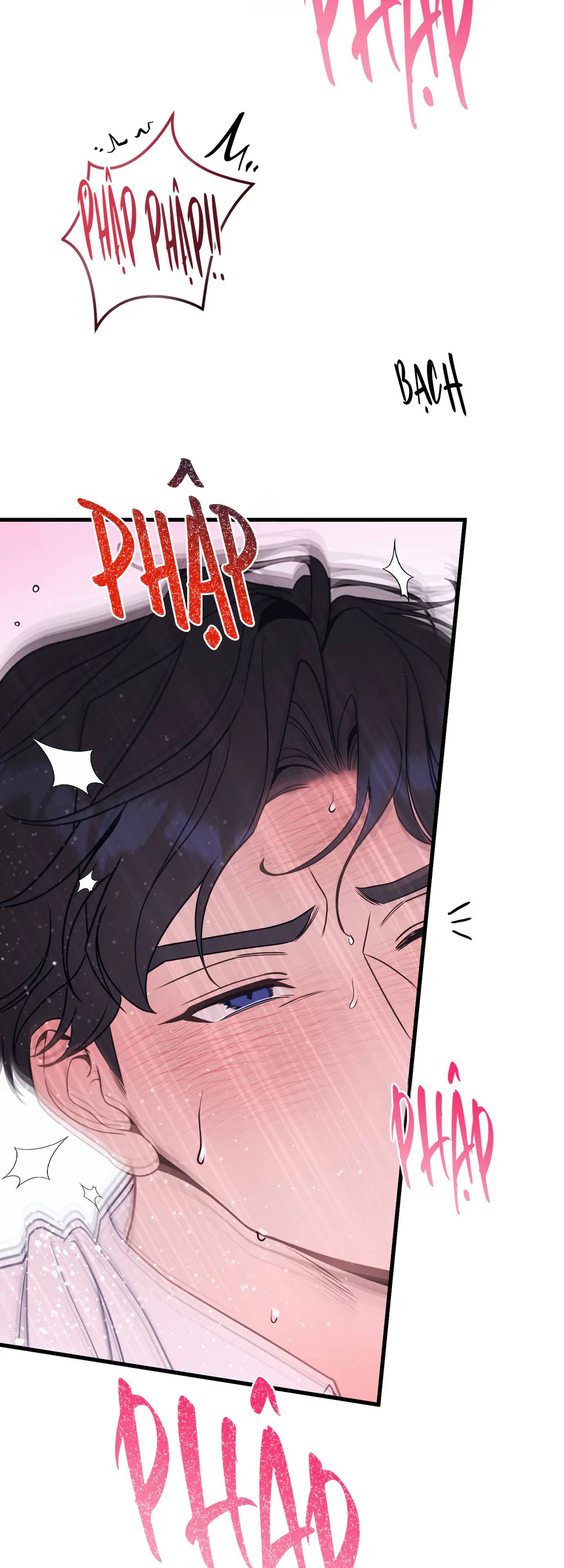 Đọc truyện The Leashed - Chapter 12