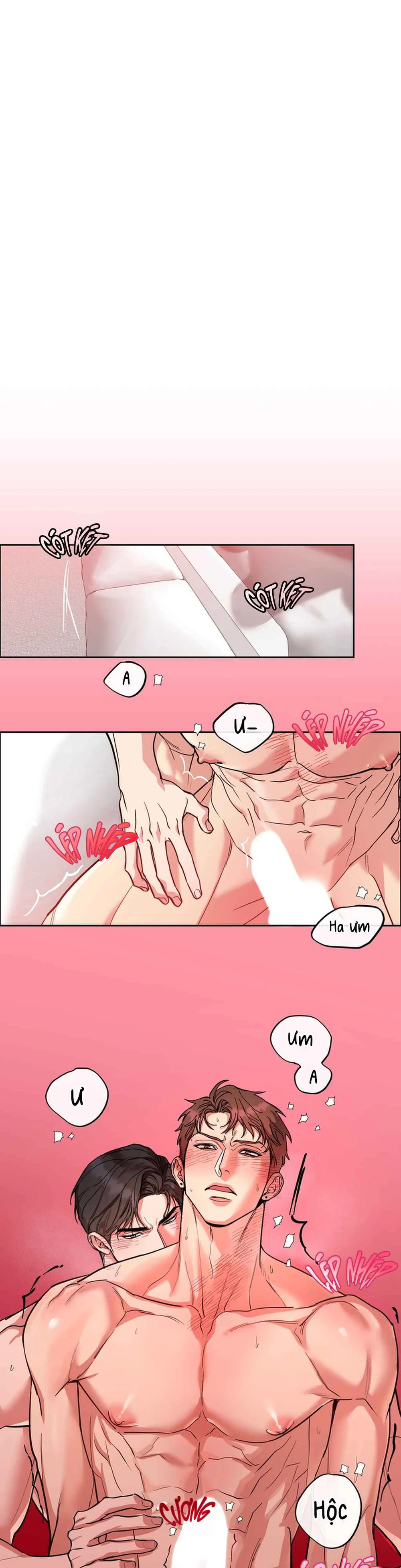 Đọc truyện CHÓ VÀ CHIM - Chapter 80.5