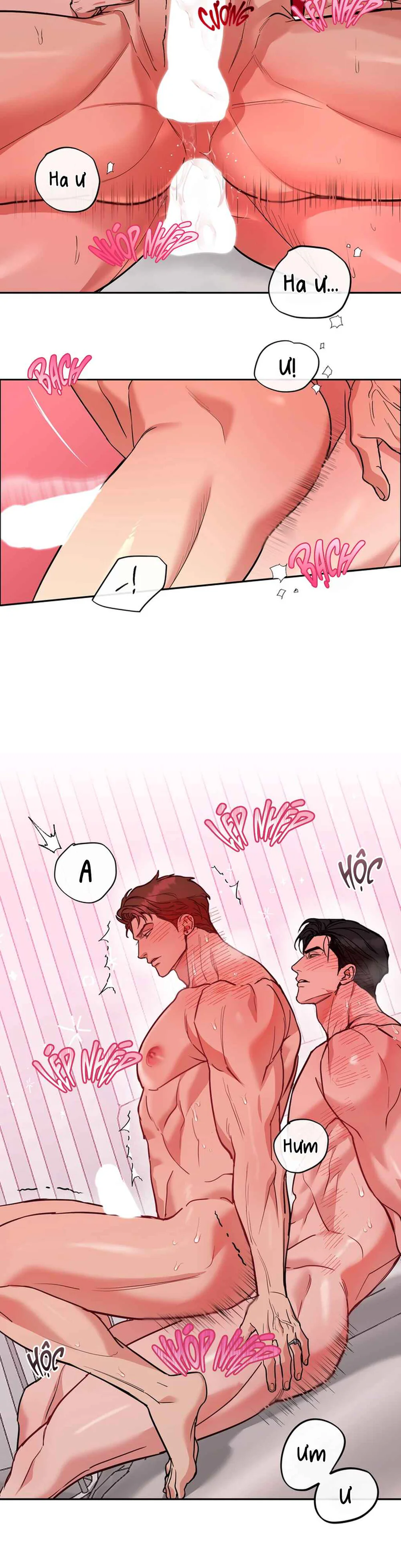 Đọc truyện CHÓ VÀ CHIM - Chapter 80.5