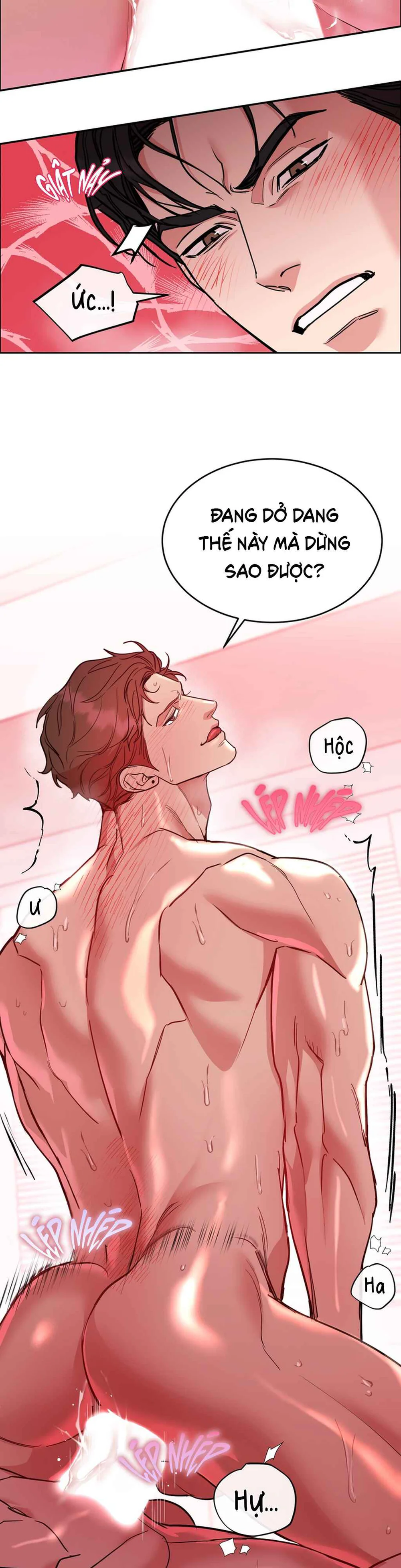 Đọc truyện CHÓ VÀ CHIM - Chapter 80.5