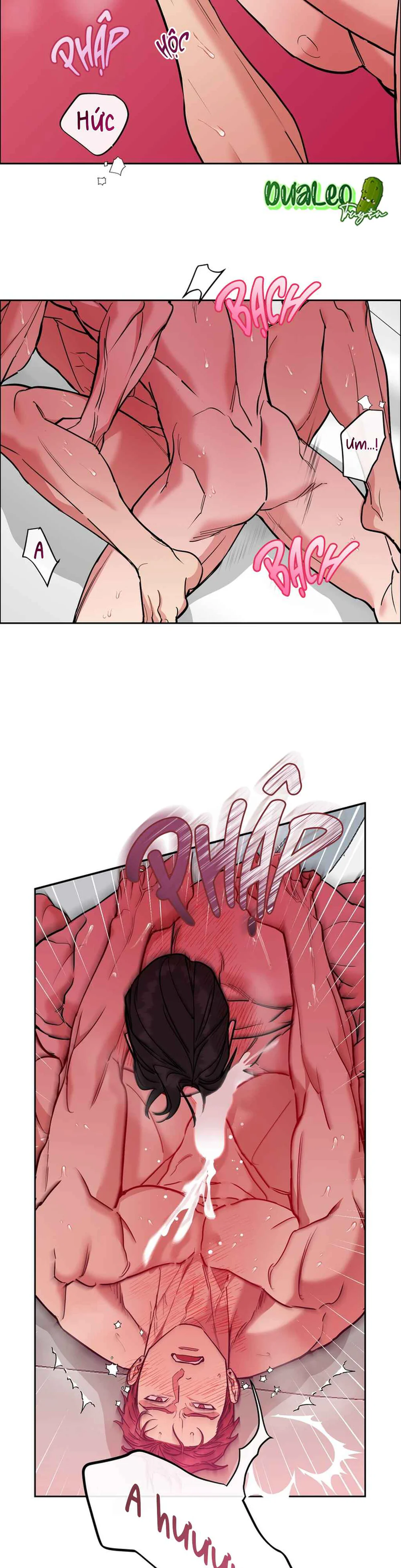 Đọc truyện CHÓ VÀ CHIM - Chapter 80.5