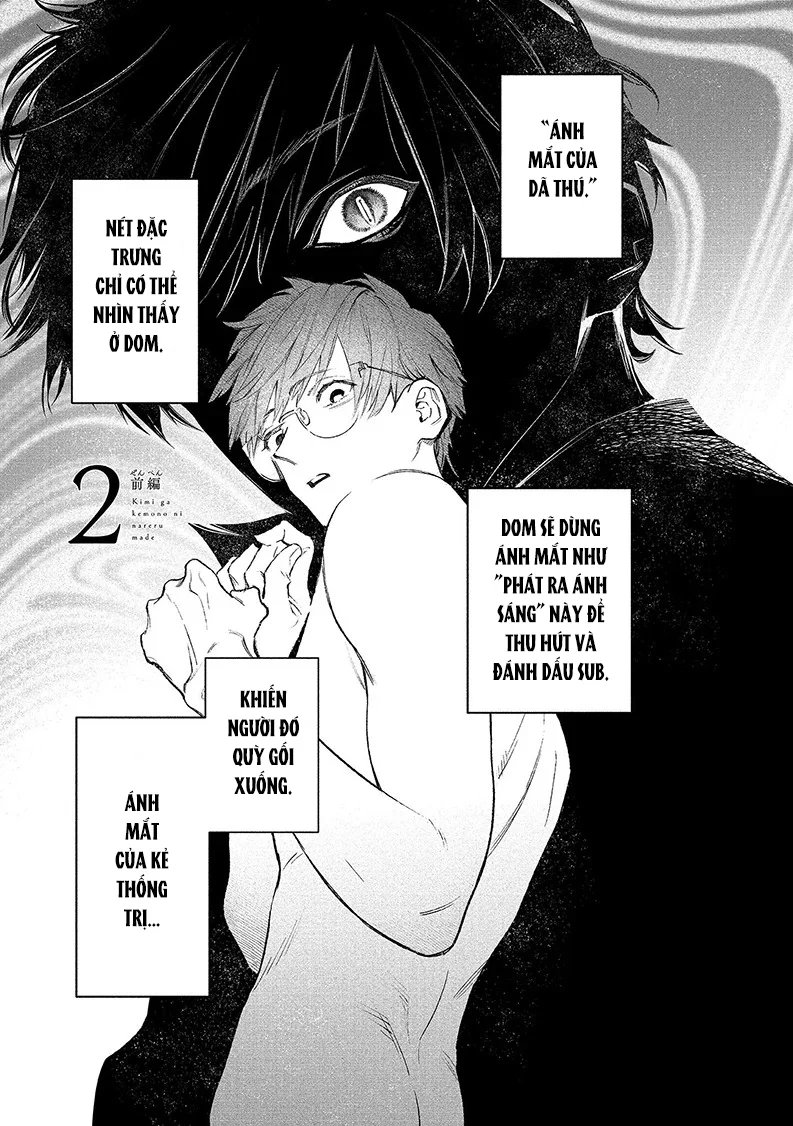 Đọc truyện Serie Manga Ngắn Mlem - Chapter 6.2