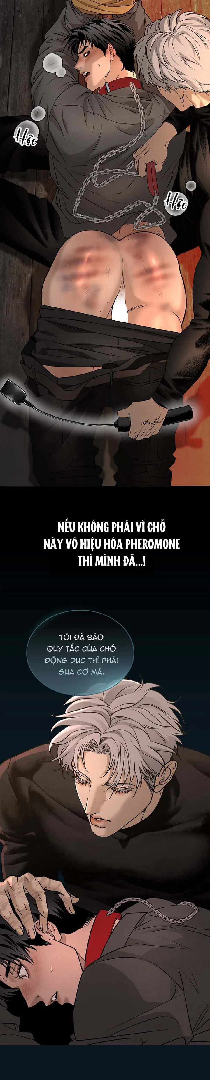 Đọc truyện Thuần hóa Alpha Dog - Chapter 0