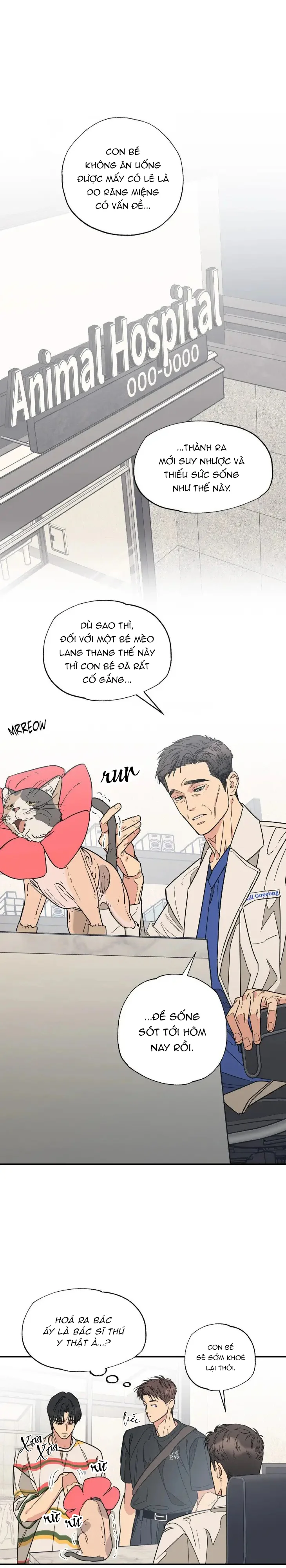Đọc truyện Purrfect Choice - Chapter 10
