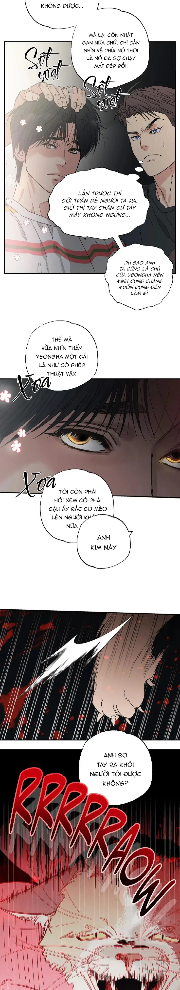 Đọc truyện Purrfect Choice - Chapter 10