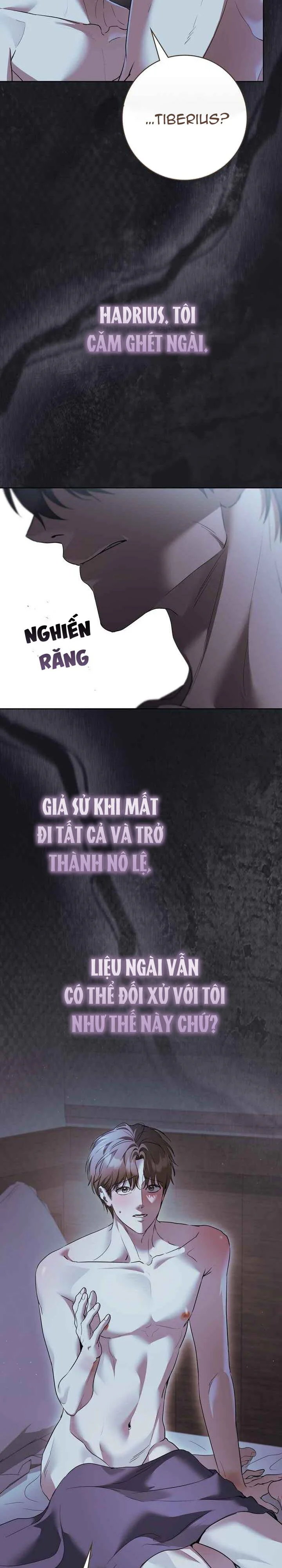 Đọc truyện Giữa những cành nguyệt quế - Chapter 7