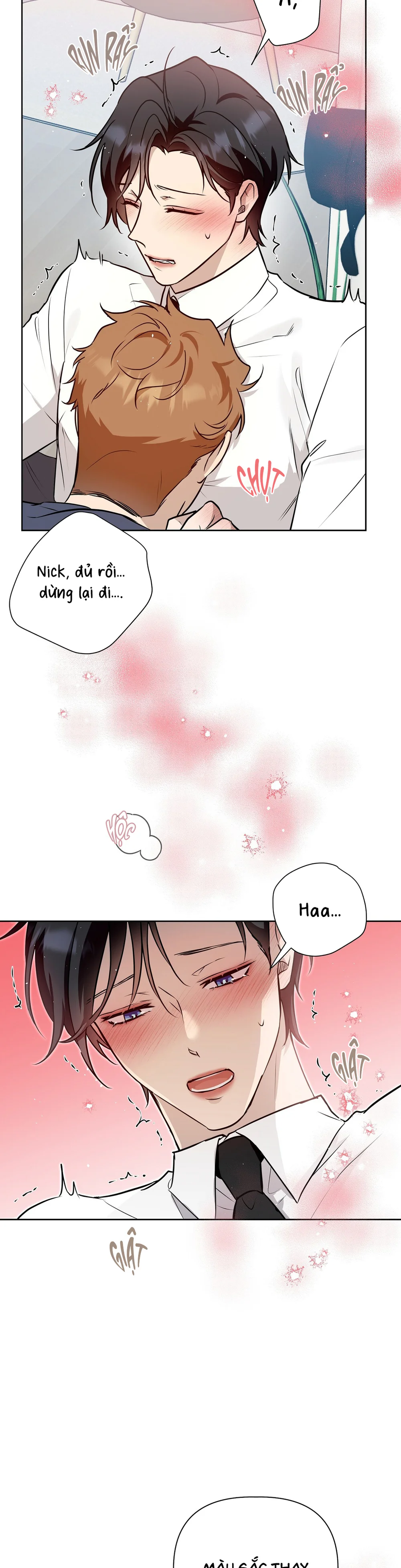 Đọc truyện OMEGA HOÀN HẢO CỦA TÔI - Chapter 71