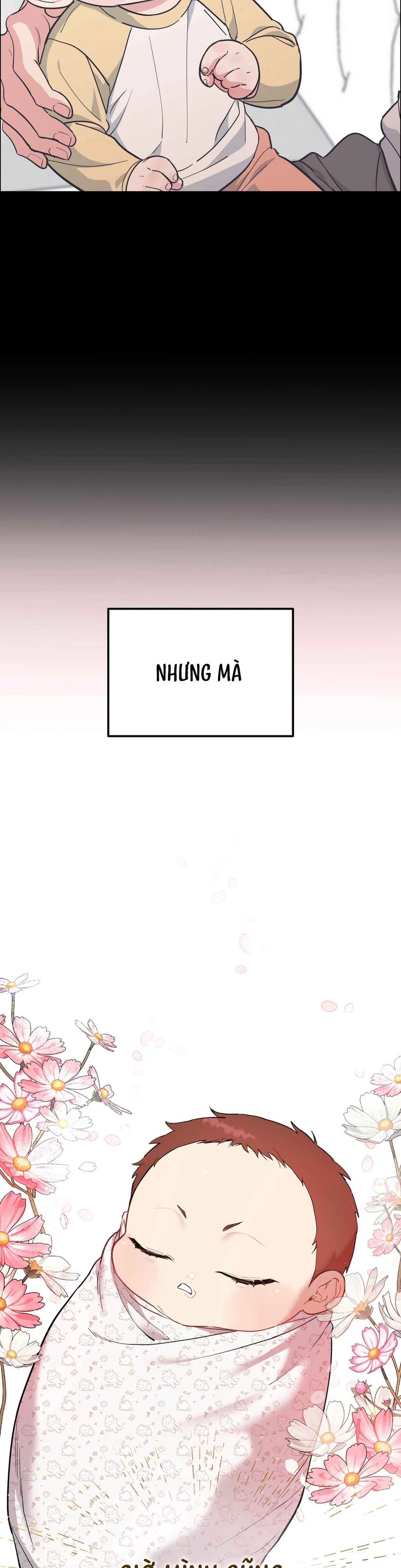 Đọc truyện CHÓ VÀ CHIM - Chapter 84
