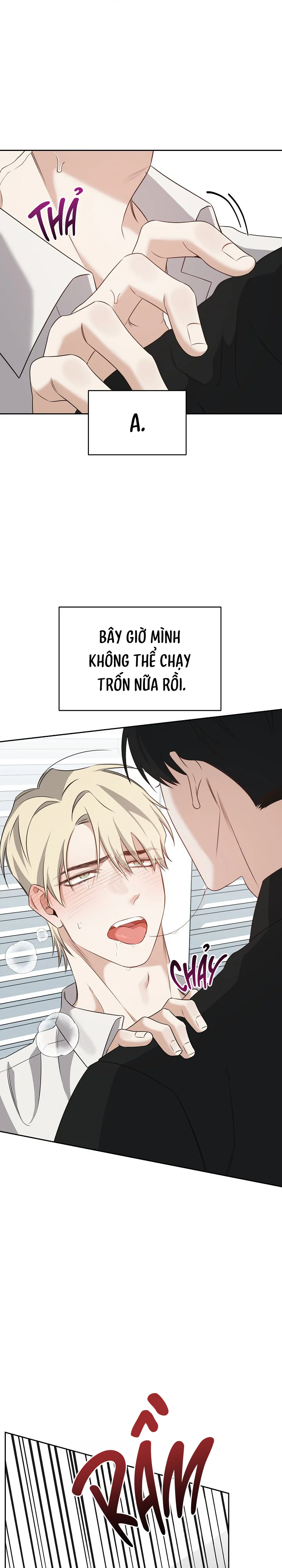 Đọc truyện CỦA TÔI - Chapter 5