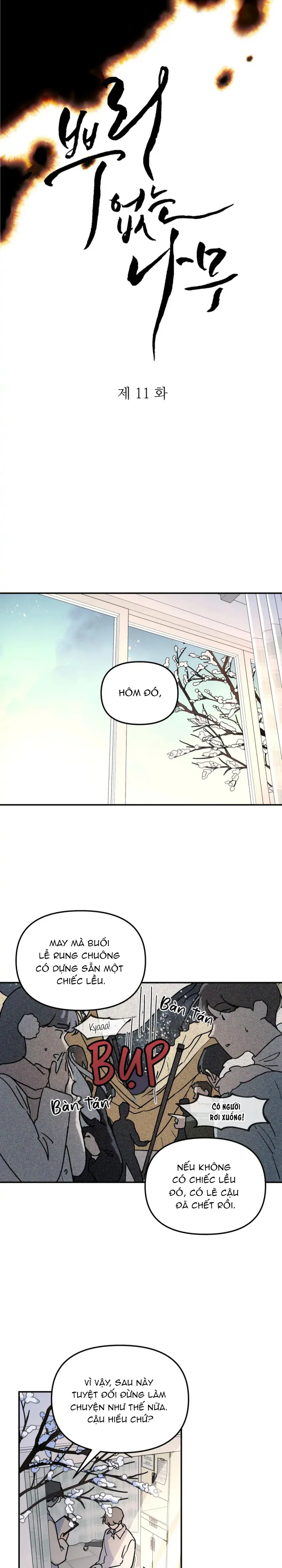 Đọc truyện Cây Không Rễ - Chapter 11