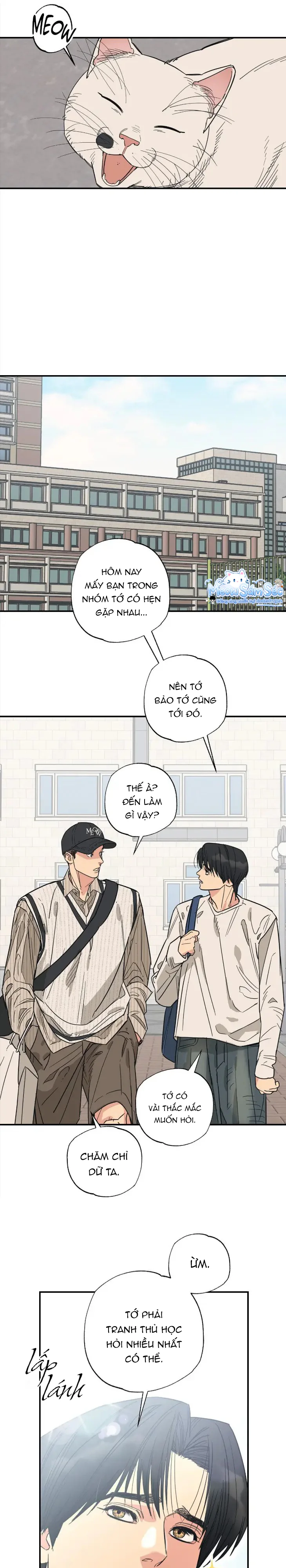 Đọc truyện Purrfect Choice - Chapter 11