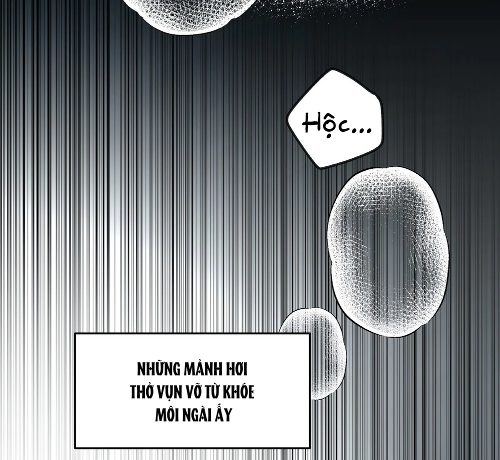 Đọc truyện Ngựa Gỗ Đen - Chapter 11