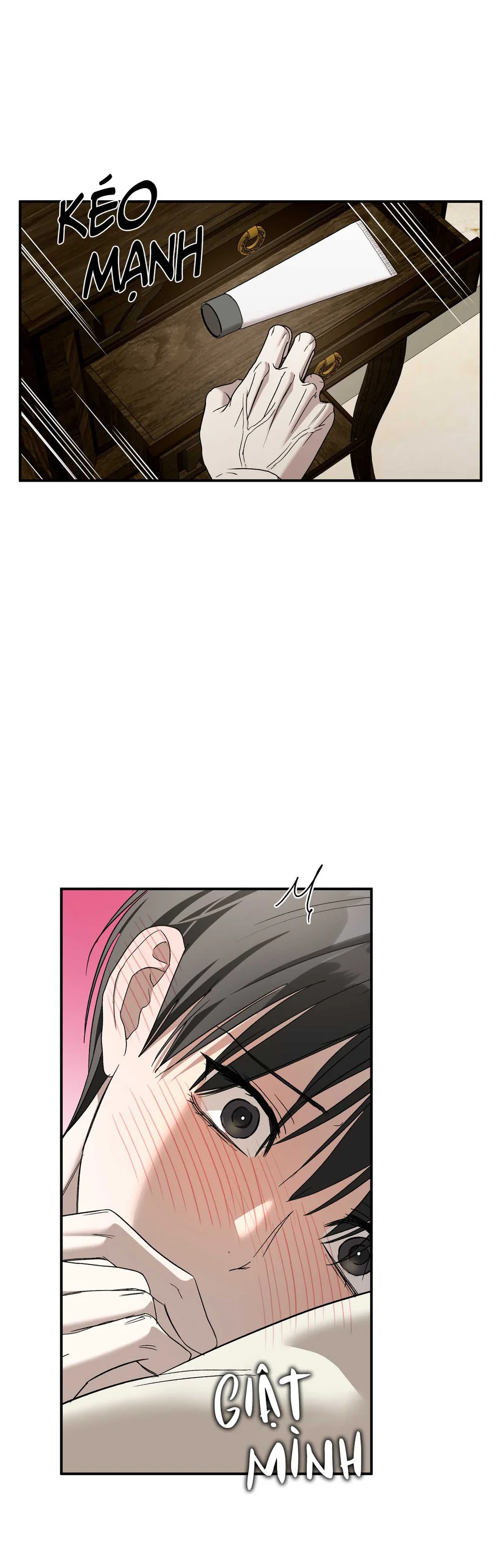 Đọc truyện Lâu Đài Gỗ Mun - Chapter 47