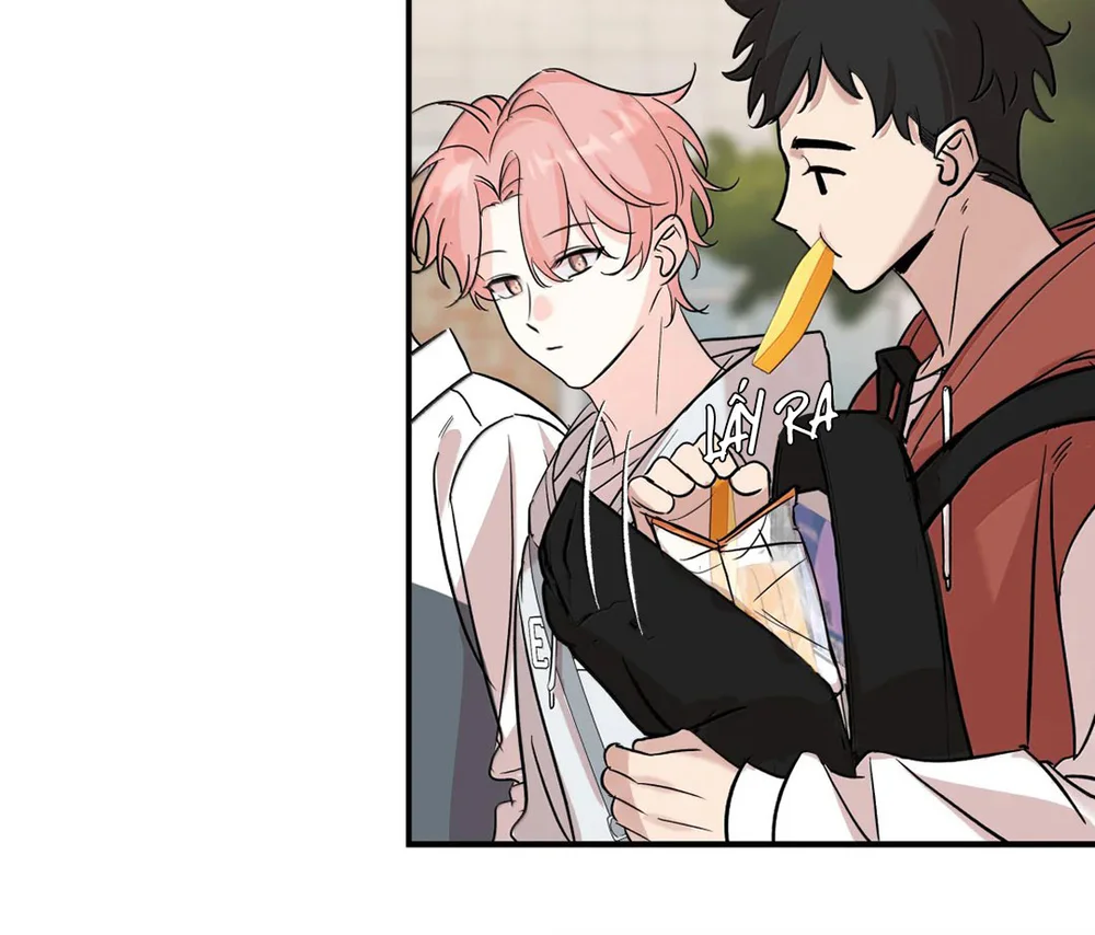 Đọc truyện Hổ và Tường Vi - Chapter 21