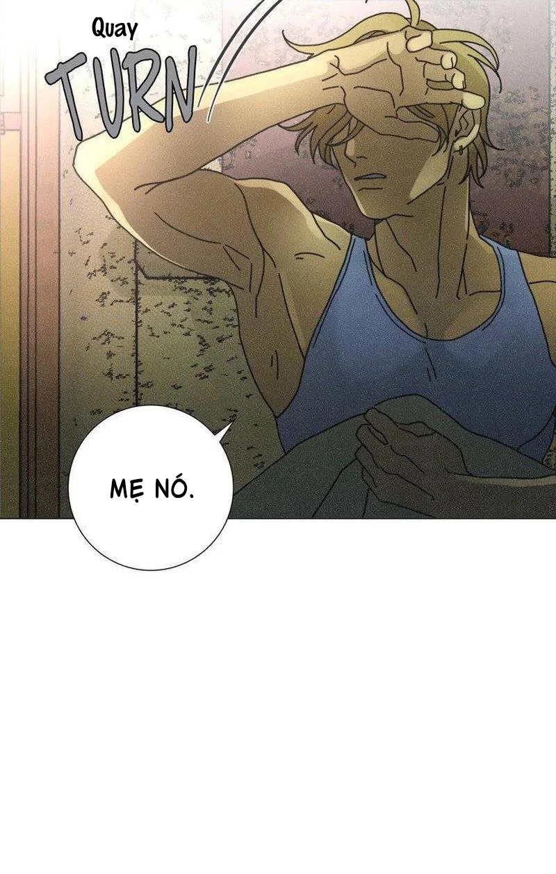 Đọc truyện Trật Tự Thế Giới Mới - Chapter 3