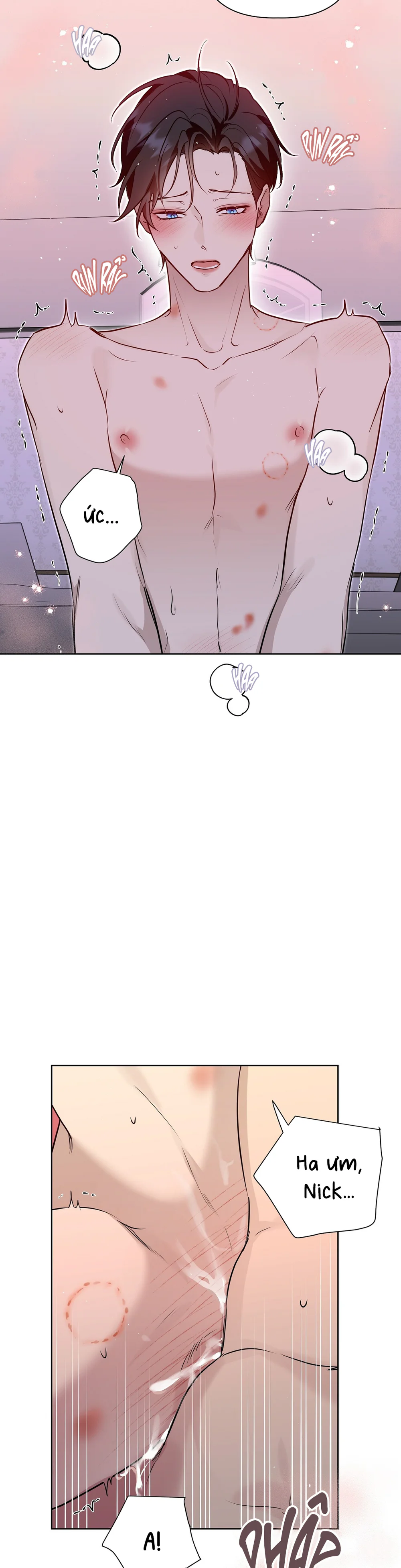 Đọc truyện OMEGA HOÀN HẢO CỦA TÔI - Chapter 75