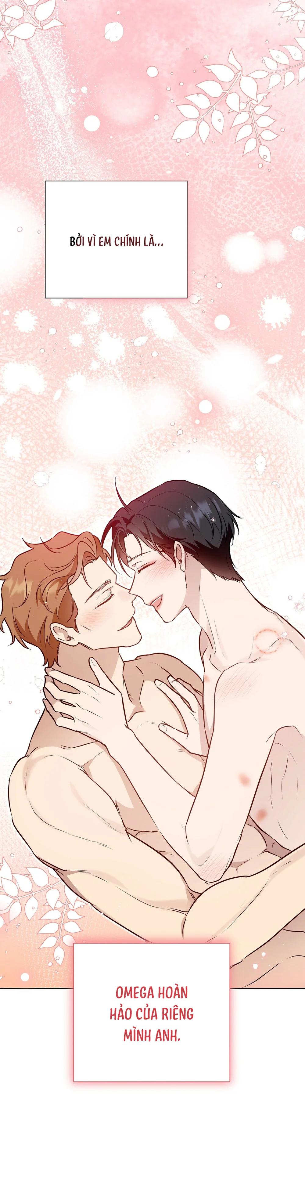 Đọc truyện OMEGA HOÀN HẢO CỦA TÔI - Chapter 75