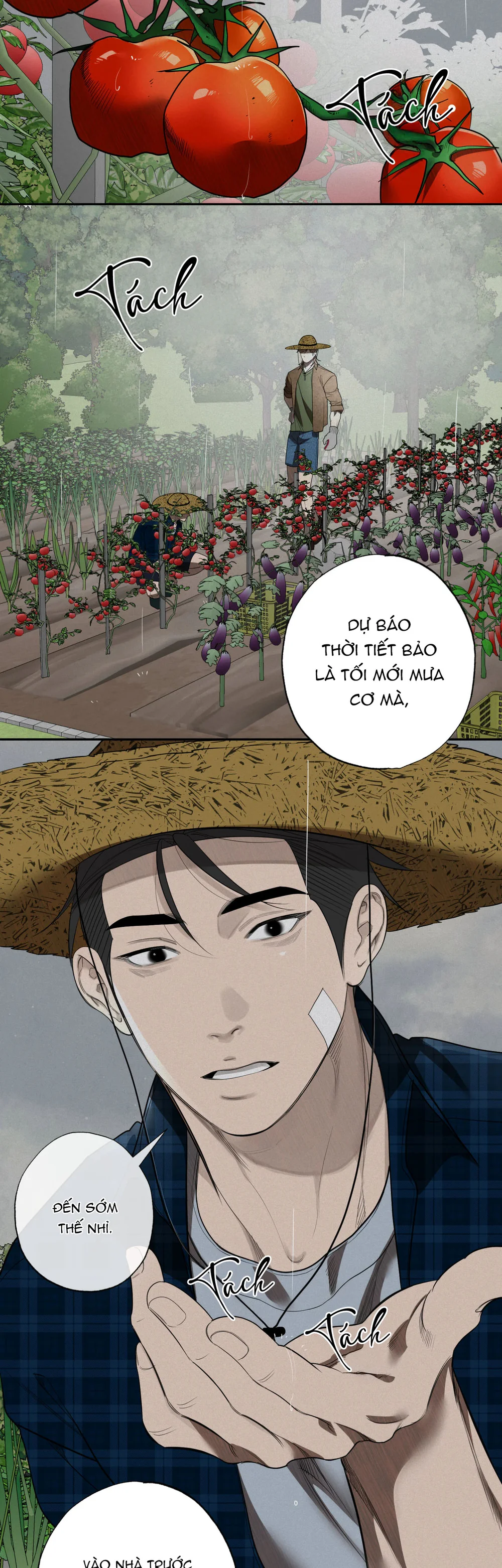 Đọc truyện Anh Rể 제부 - Chapter 1