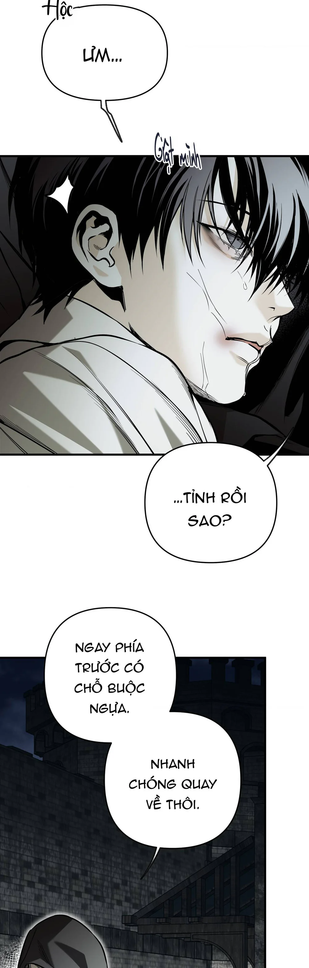 Đọc truyện Ngựa Gỗ Đen - Chapter 13