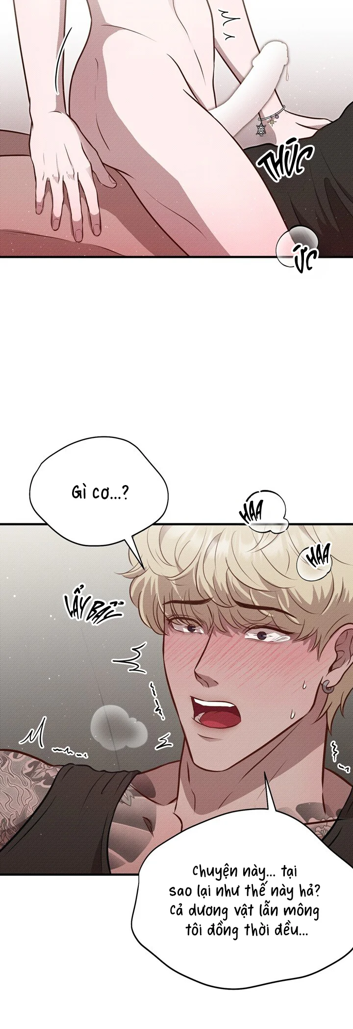 Đọc truyện CỐC CỐC- QUÀ GIAO TỚI RỒI NÈ! - Chapter 6
