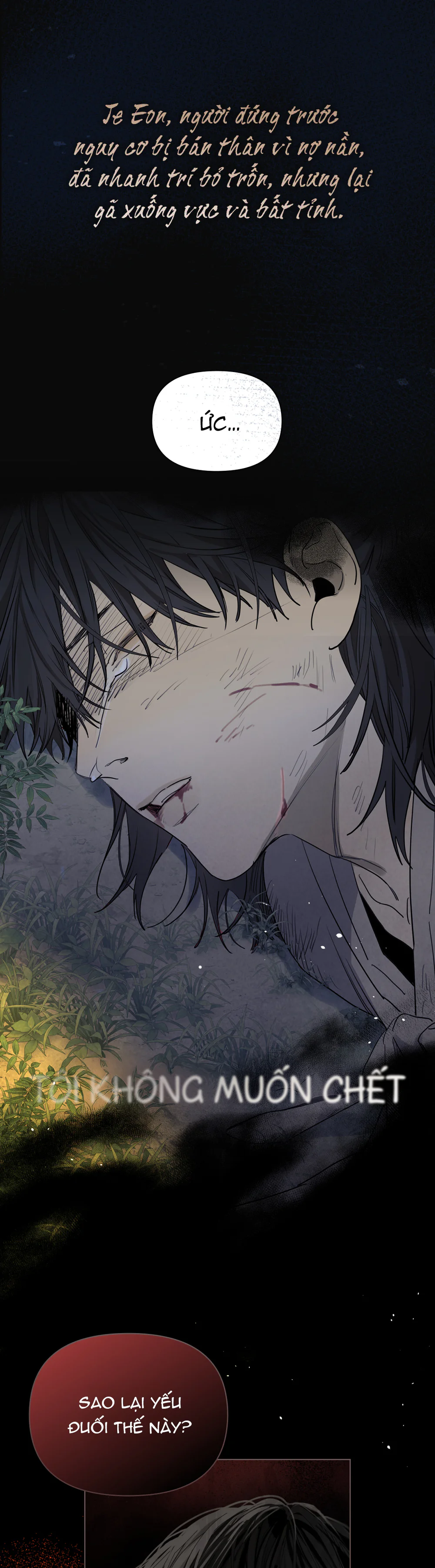 Đọc truyện Toàn Là Lũ Ngốc - Chapter 0