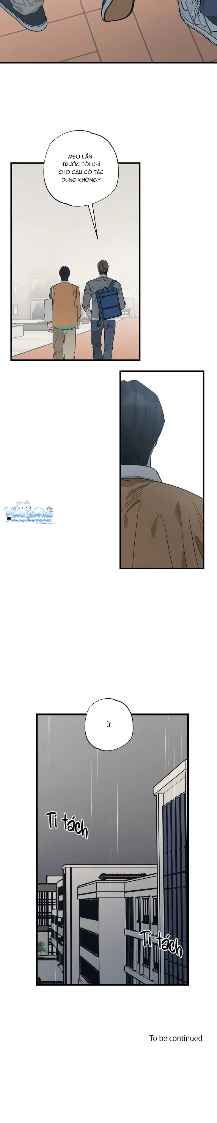 Đọc truyện Purrfect Choice - Chapter 16