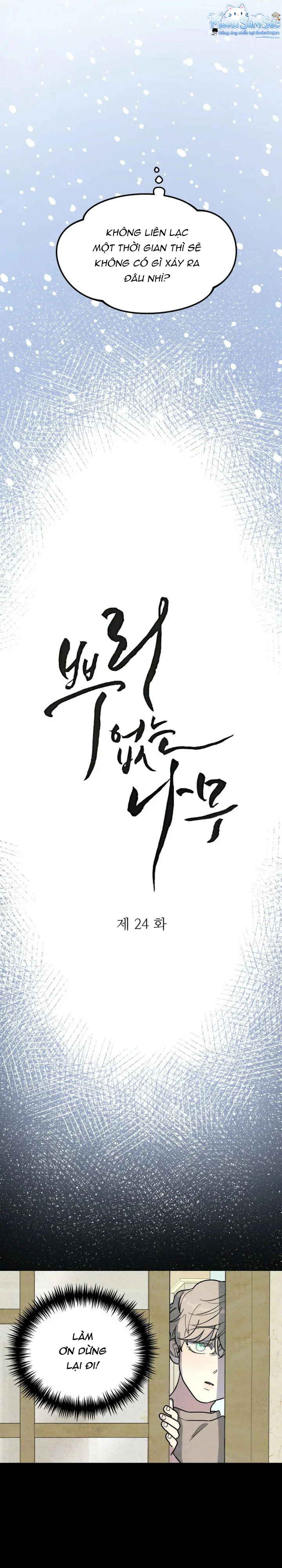 Đọc truyện Cây Không Rễ - Chapter 24