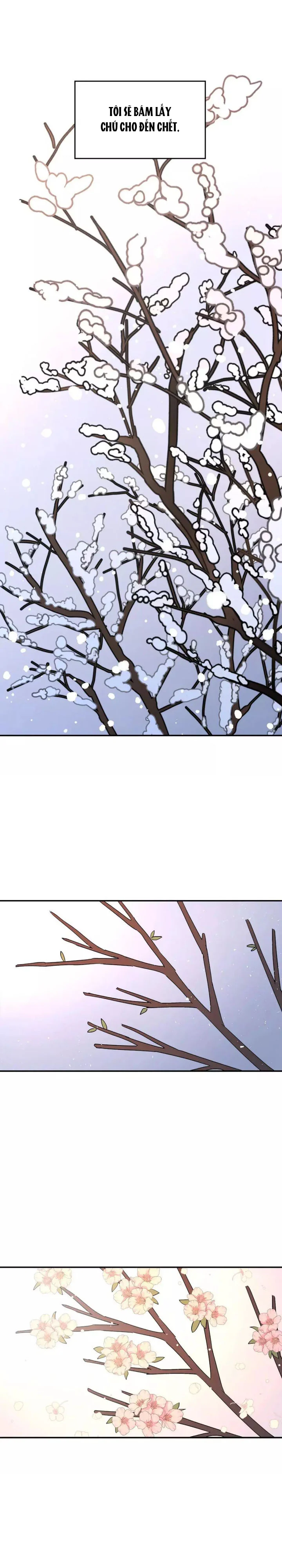 Đọc truyện Cây Không Rễ - Chapter 26